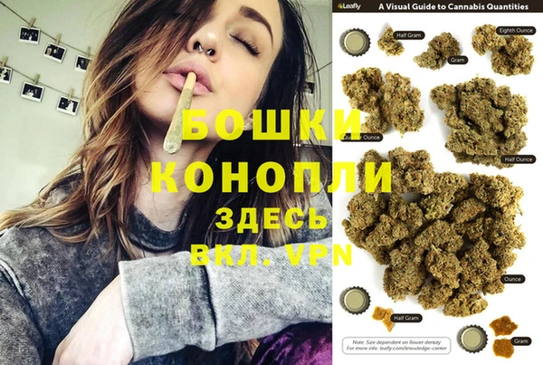 СК Тобольск