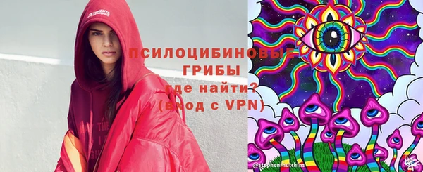 мдма Инта