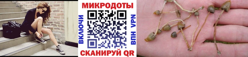 Купить  Назарово  Псилоцибиновые грибы ЛСД 